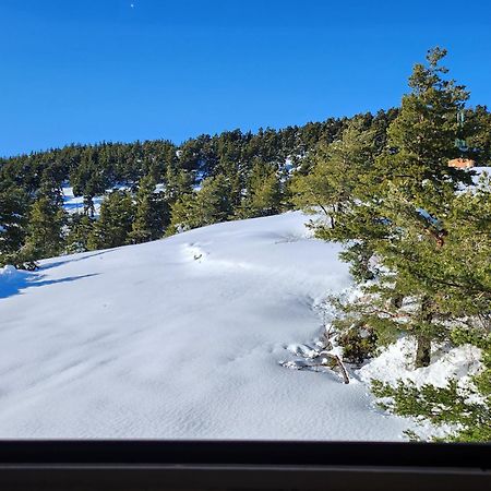 Appartement Greolieres Les Neiges Extérieur photo